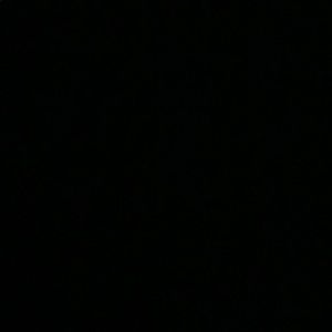 Meet your Posher, Irene